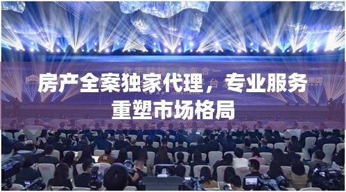 房产全案独家代理，专业服务重塑市场格局