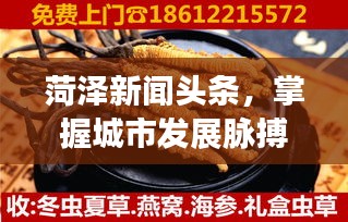 菏泽新闻头条，掌握城市发展脉搏，洞察民生动态
