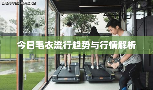 今日毛衣流行趋势与行情解析