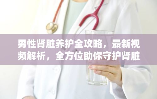 男性肾脏养护全攻略，最新视频解析，全方位助你守护肾脏健康