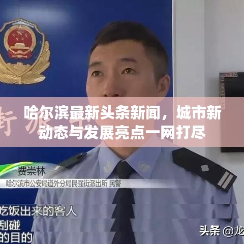 哈尔滨最新头条新闻，城市新动态与发展亮点一网打尽