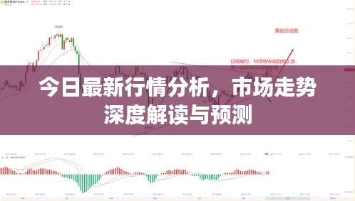 今日最新行情分析，市场走势深度解读与预测