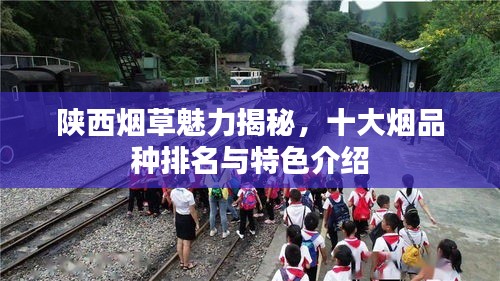 陕西烟草魅力揭秘，十大烟品种排名与特色介绍