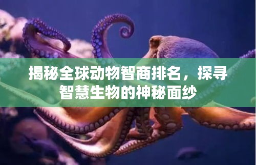揭秘全球动物智商排名，探寻智慧生物的神秘面纱