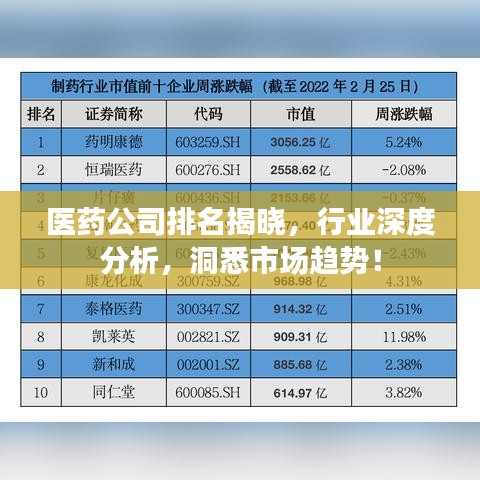 医药公司排名揭晓，行业深度分析，洞悉市场趋势！