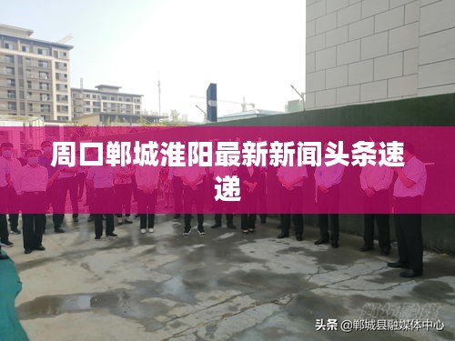 周口郸城淮阳最新新闻头条速递