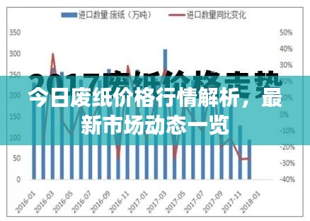 今日废纸价格行情解析，最新市场动态一览