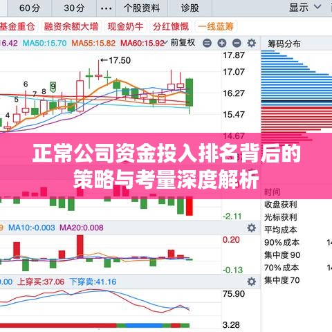 正常公司资金投入排名背后的策略与考量深度解析