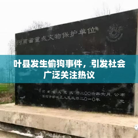 叶县发生偷狗事件，引发社会广泛关注热议