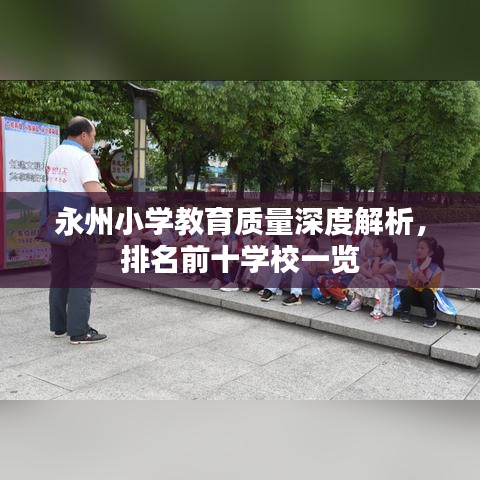 永州小学教育质量深度解析，排名前十学校一览