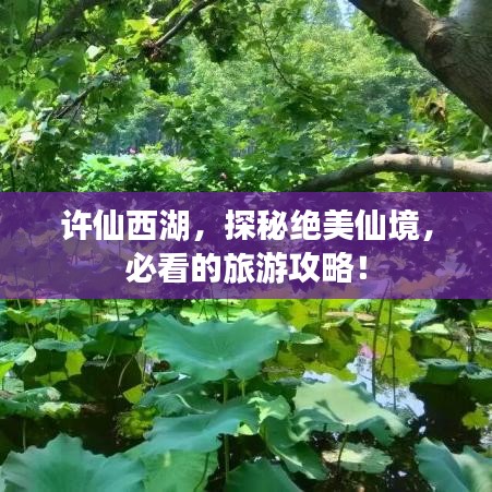 许仙西湖，探秘绝美仙境，必看的旅游攻略！