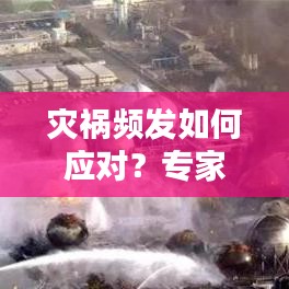 灾祸频发如何应对？专家解析应对之道