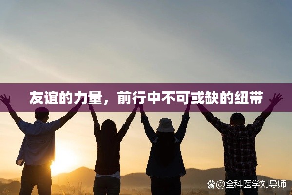 友谊的力量，前行中不可或缺的纽带
