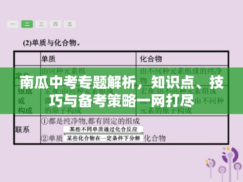 南瓜中考专题解析，知识点、技巧与备考策略一网打尽