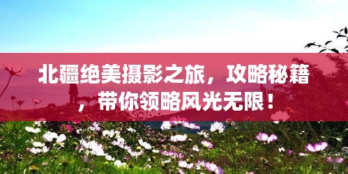 管窥蛙见