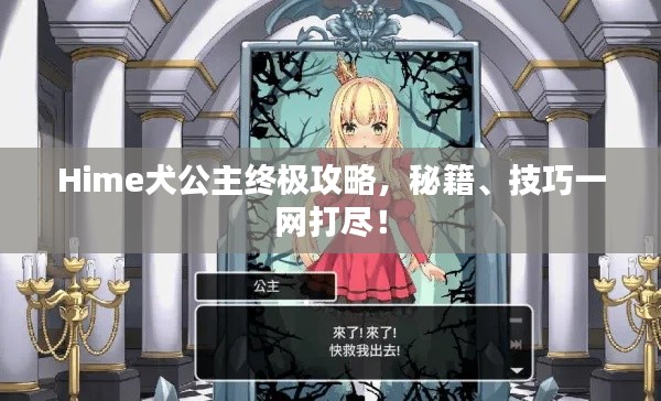 Hime犬公主终极攻略，秘籍、技巧一网打尽！