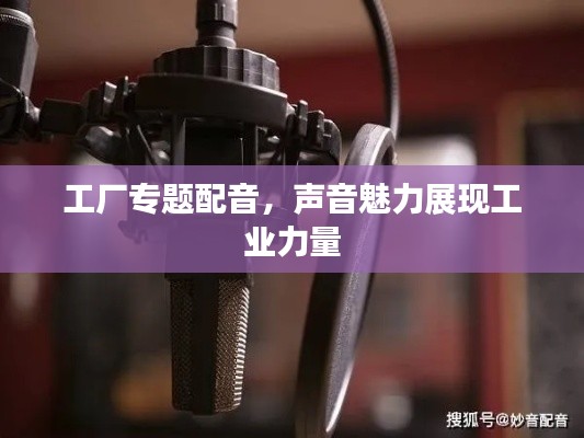 工厂专题配音，声音魅力展现工业力量