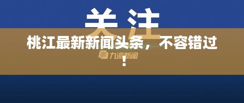桃江最新新闻头条，不容错过！