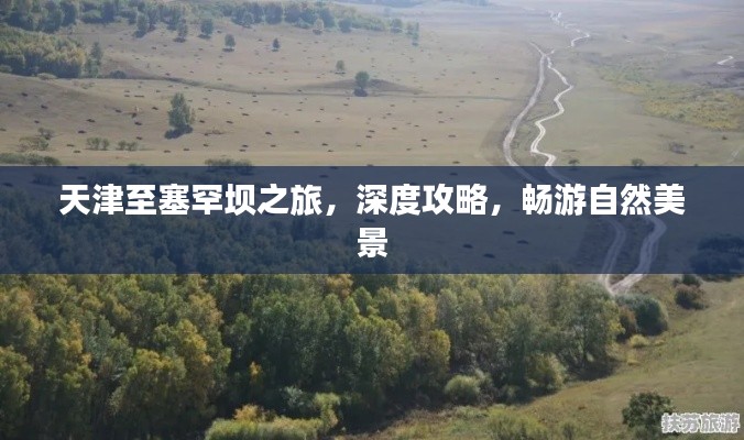 天津至塞罕坝之旅，深度攻略，畅游自然美景