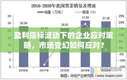 盈利指标波动下的企业应对策略，市场变幻如何应对？