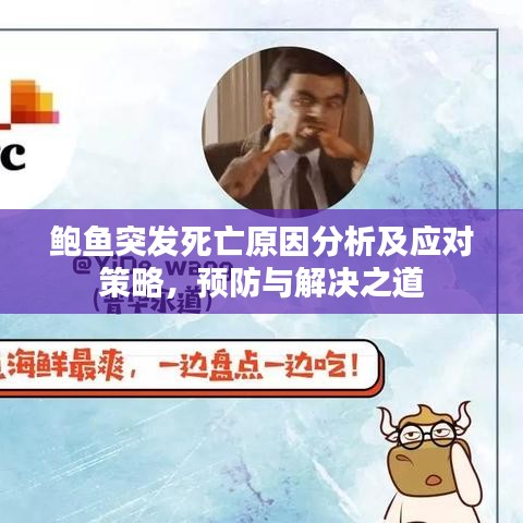鲍鱼突发死亡原因分析及应对策略，预防与解决之道