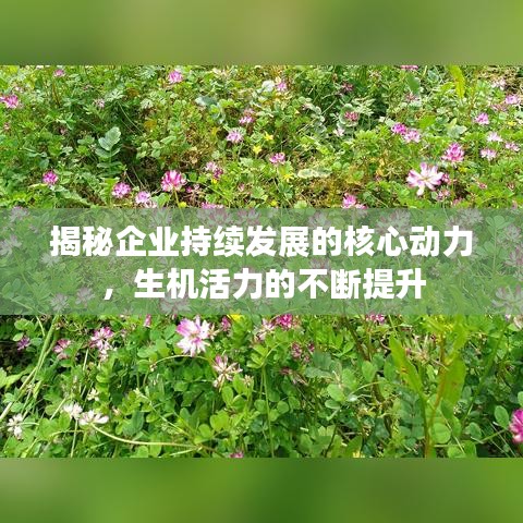眼张失道