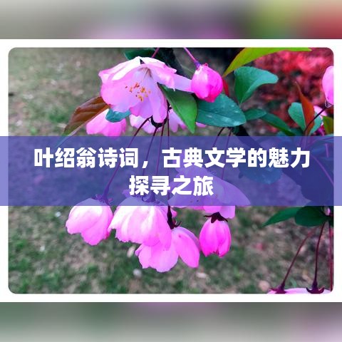 叶绍翁诗词，古典文学的魅力探寻之旅