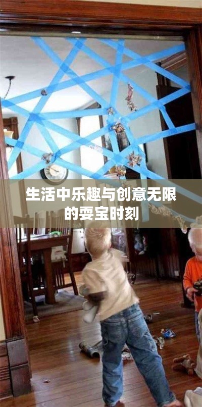 生活中乐趣与创意无限的耍宝时刻