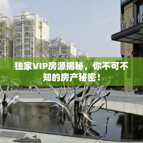 独家VIP房源揭秘，你不可不知的房产秘密！