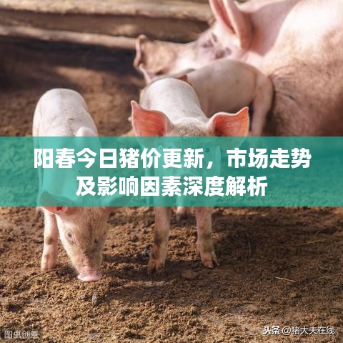 阳春今日猪价更新，市场走势及影响因素深度解析
