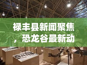 禄丰县新闻聚焦，恐龙谷最新动态揭秘