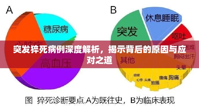 突发猝死病例深度解析，揭示背后的原因与应对之道