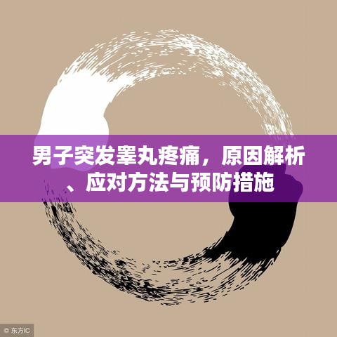 男子突发睾丸疼痛，原因解析、应对方法与预防措施