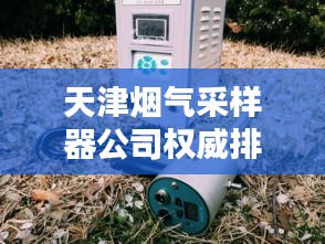 天津烟气采样器公司权威排行榜揭晓！