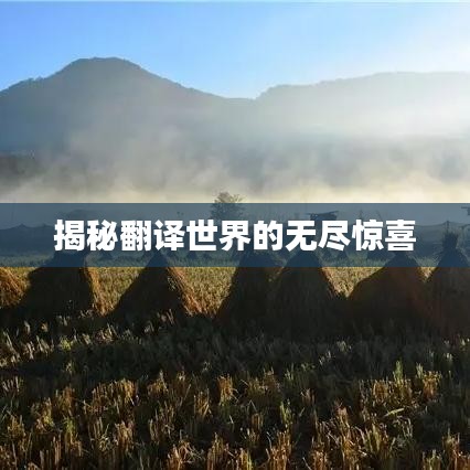 揭秘翻译世界的无尽惊喜