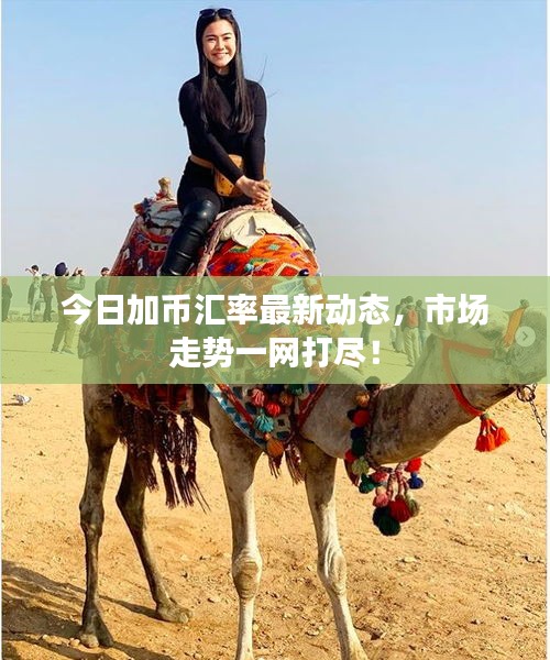 今日加币汇率最新动态，市场走势一网打尽！