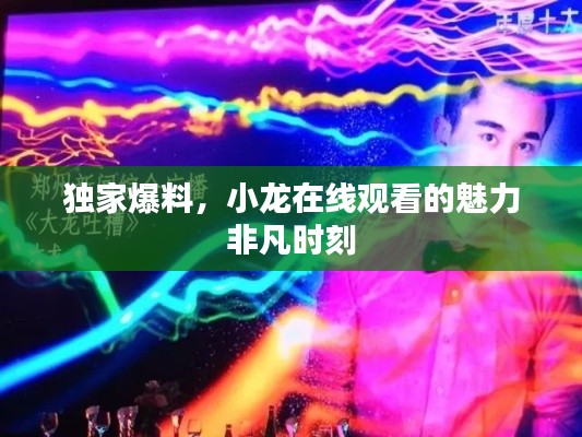 独家爆料，小龙在线观看的魅力非凡时刻
