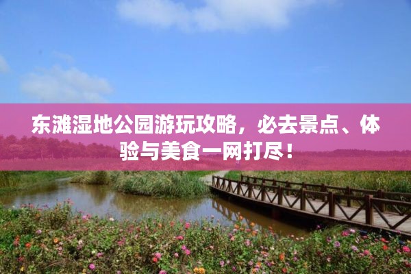 东滩湿地公园游玩攻略，必去景点、体验与美食一网打尽！