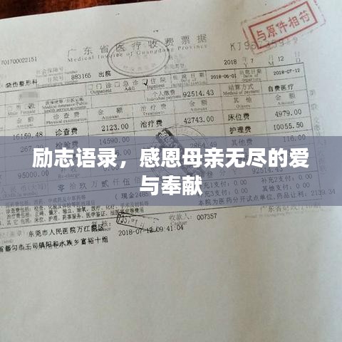 不飞则已