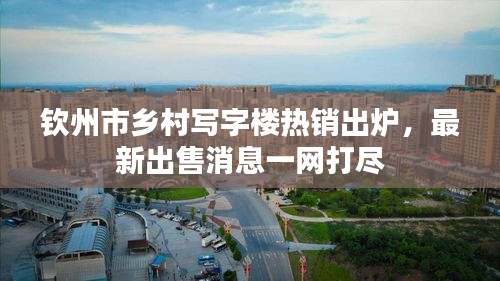 钦州市乡村写字楼热销出炉，最新出售消息一网打尽