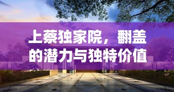 上蔡独家院，翻盖的潜力与独特价值探索
