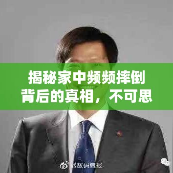 鸟骇鼠窜