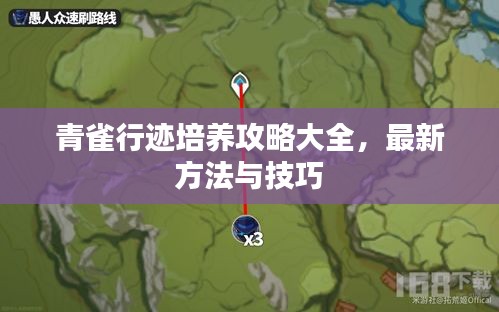 青雀行迹培养攻略大全，最新方法与技巧