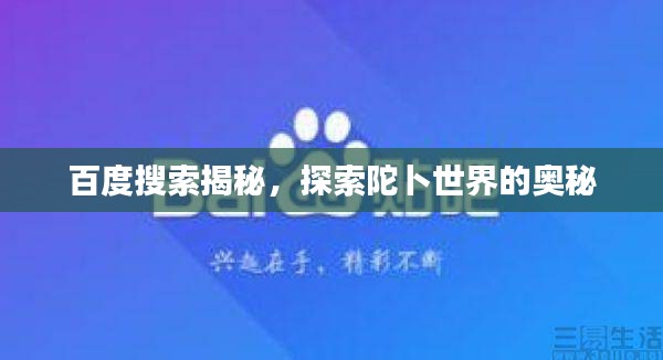 百度搜索揭秘，探索陀卜世界的奥秘
