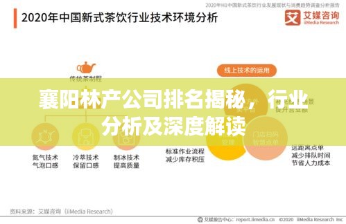 襄阳林产公司排名揭秘，行业分析及深度解读