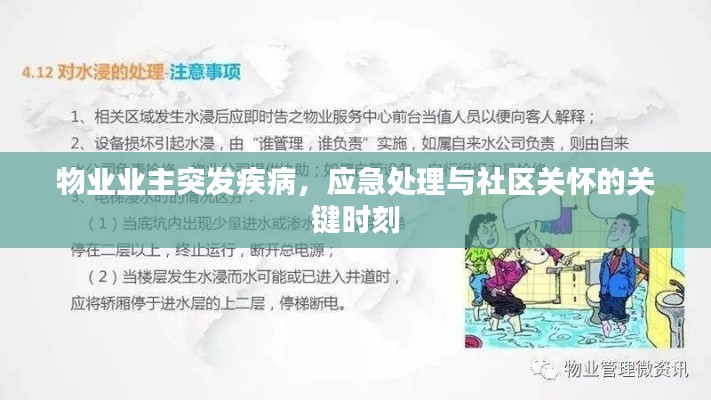物业业主突发疾病，应急处理与社区关怀的关键时刻