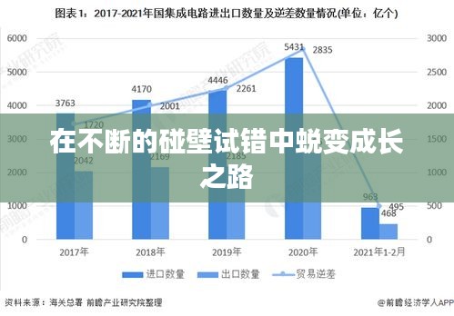 在不断的碰壁试错中蜕变成长之路