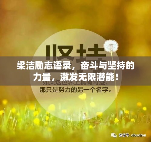 2025年4月 第53页