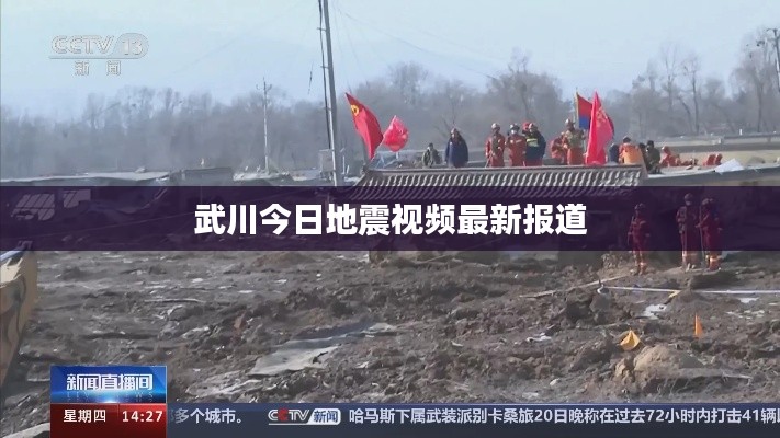 大张挞伐