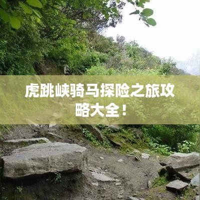虎跳峡骑马探险之旅攻略大全！